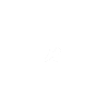 Moin - Welsh Terrier