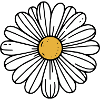 Daisy