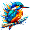 Eisvogel