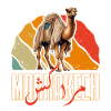 Marrakech Sun Camel