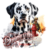 Dalmatian