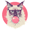 Ragdoll Cat Glasses Chewing Gum