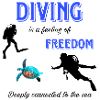 Diving Freedom Turtle