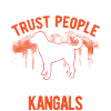 Cadeau Kangal Berger d’Anatolie