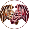 Zebra Loving Art