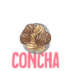 Concha Hispanic Mexican Pan Dulce