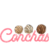 Concha Hispanic Mexican Pan Dulce