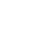 Shitzu