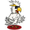 kakaroo