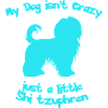 Shitzu baby blue