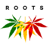 Minimalist Roots Rasta Colors Reggae
