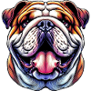 English Bulldog Dog