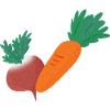 Radish & Carrot