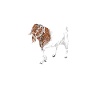Non ho mai sognato che da grande sarei diventato un super cool