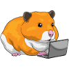 Hamster Laptop