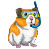 Plongée avec tuba pour hamster