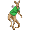 Kangaroo Baseball