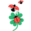 Ladybugs with clover leaf.