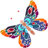 Schmetterling