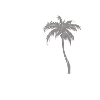 Experience