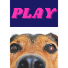 PLAY