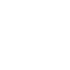 White Elephant
