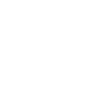 White turtle
