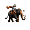 Proud cat riding elephant
