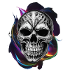 Modern skull