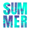 Summer Summer