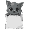 Cat in the pocket