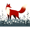 Fox in flower meadow