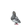 Sei eine Taube….scheiss drauf!