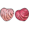 Concha Hispanique Mexicain Pan Dulce