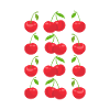 Kirsche Kirschbaum Kirschblüte Frucht Geschenk