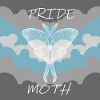 PRIDE MOTH DEMIBOY