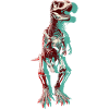 T-Rex