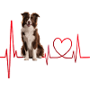 Cadeau Heartbeat pour chiens