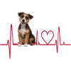 Cadeau Heartbeat pour chiens
