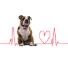 Cadeau Heartbeat pour chiens