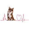 Cadeau Heartbeat pour chiens