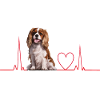 Cadeau Heartbeat pour chiens