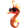 Hippocampe Aquariophile Pêcheur Hippocampe mignon