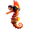 Hippocampe Aquariophile Pêcheur Hippocampe mignon