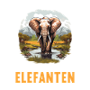 Éléphant Éléphant