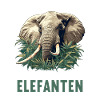 Elephant Elephant