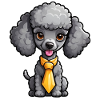 Gray Poodle with Tie
