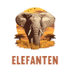 Éléphant Éléphant