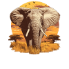 Éléphant Éléphant