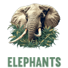 Éléphant Éléphant